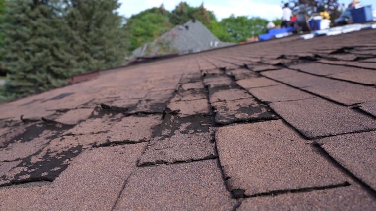 Best Storm Damage Roof Repair  in Laurel Hill, VA