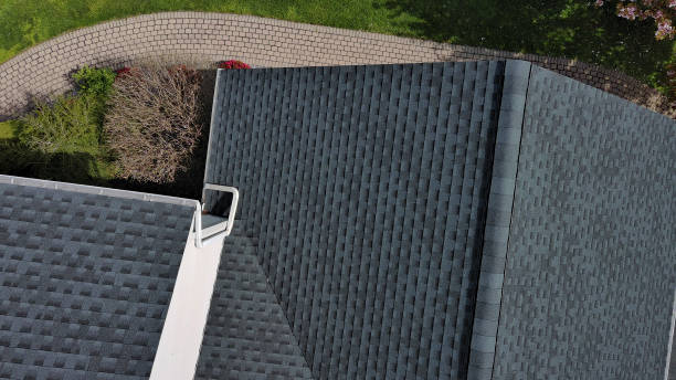 Best Solar Panel Roofing Installation  in Laurel Hill, VA